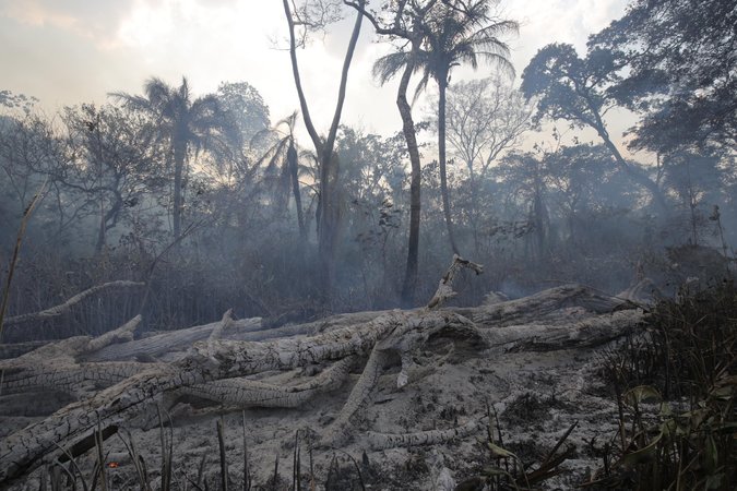 A charred landscape after deforestation in Bolivia. Credit Jim Wickens/Ecostorm