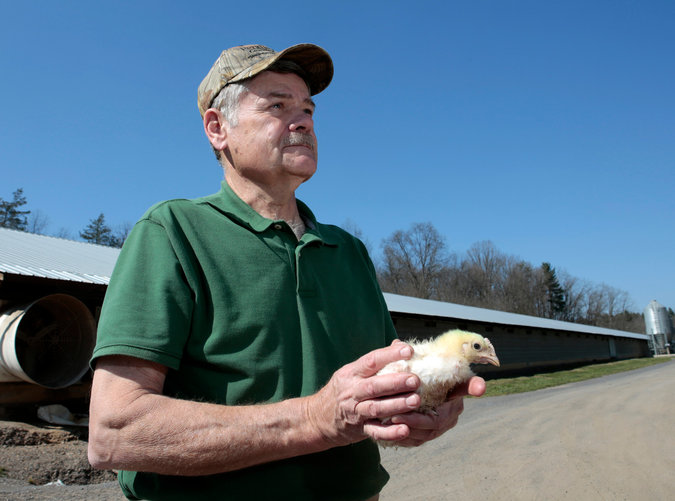  Mike Weaver, a poultry farmer and president of a small-farm group called the Organization for Competitive Markets, said he was concerned about pushback against a rule that would make it easier for chicken farmers to sue chicken processors. “These are regulations that we want implemented,” he said. Credit Jay Paul for The New York Times 