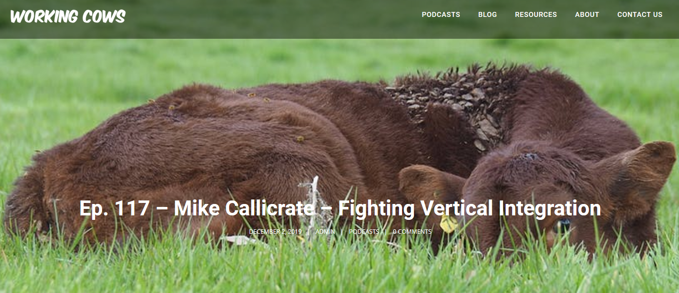 Working Cows - Fighting Vertical Integration - News.MikeCallicrate.com ...